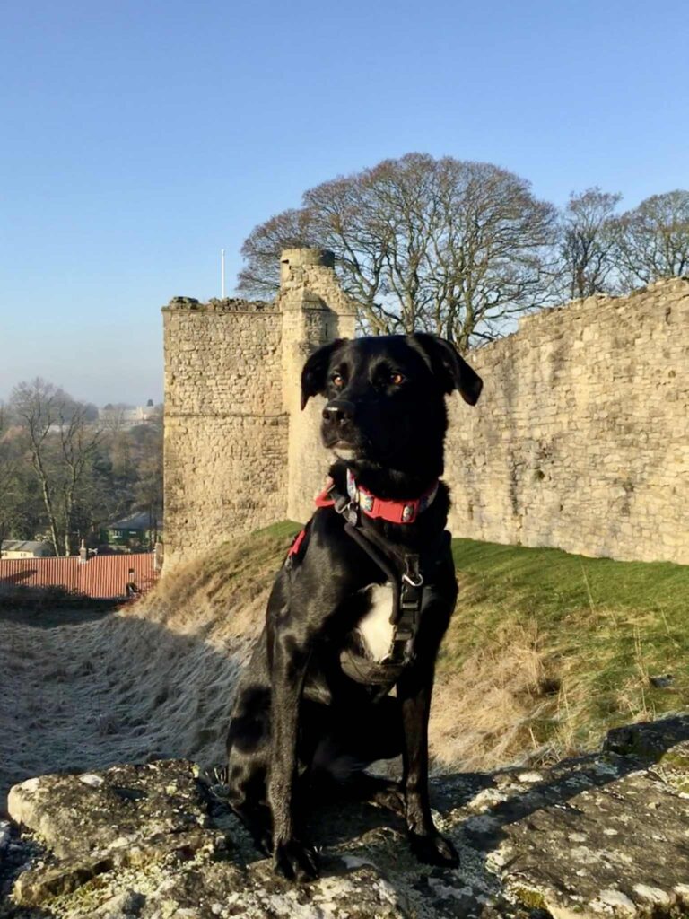 327320ae d06a 4df7 849e c771eb97c841