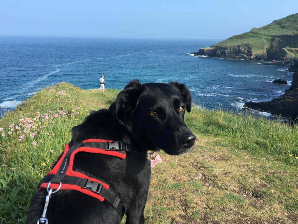 a6c81cc1 d3af 4fac 896f 5dbcf0bb45b1